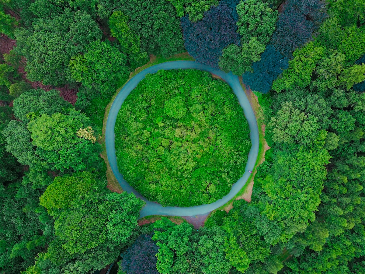 forest-of-green-tress-with-circle-road-SDG